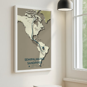 Semipalmated Sandpiper Migration Map – Minimalist Poster