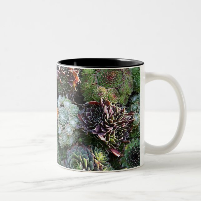 Sempervivum Mug (Right)
