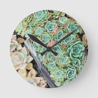 Sempervivum Round Clock