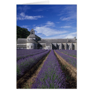 Senanque Abbey, Gordes, Vaucluse, Provence,