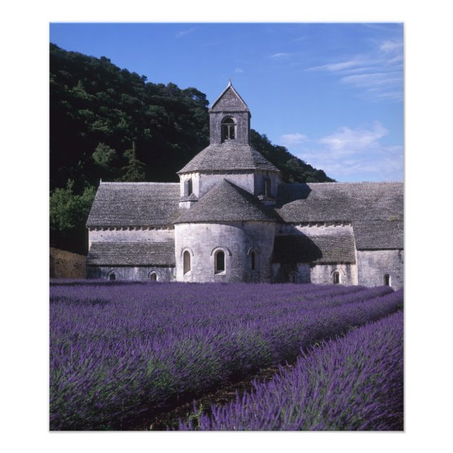 Senanque Abbey, Gordes, Vaucluse, Provence, 2 Photo Print (Front)