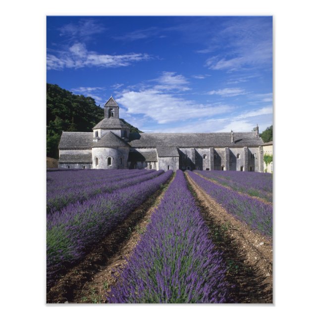 Senanque Abbey, Gordes, Vaucluse, Provence, Photo Print (Front)