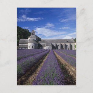 Senanque Abbey, Gordes, Vaucluse, Provence, Postcard