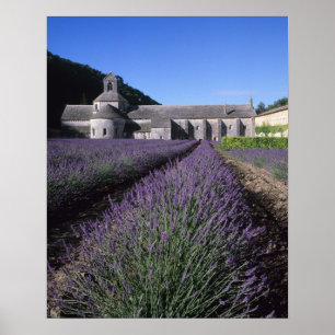 Senanque Abbey, Gordes, Vaucluse, Provence, Poster
