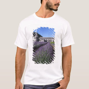 Senanque Abbey, Gordes, Vaucluse, Provence, T-Shirt