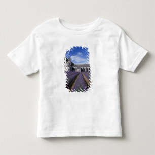 Senanque Abbey, Gordes, Vaucluse, Provence, Toddler T-Shirt