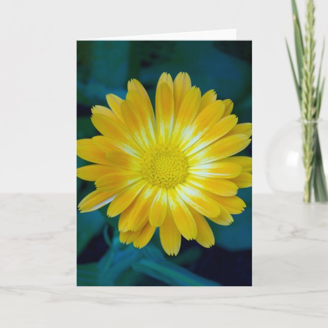 Send Flower to your friends that lasts. Card (Front)