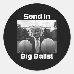 Send In Big , President Trump And Doge  Classic Round Sticker