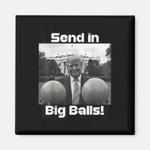 Send In Big , President Trump And Doge Magnet