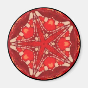 Send it to Fractal Rainbow Stars Flower Art Magnet