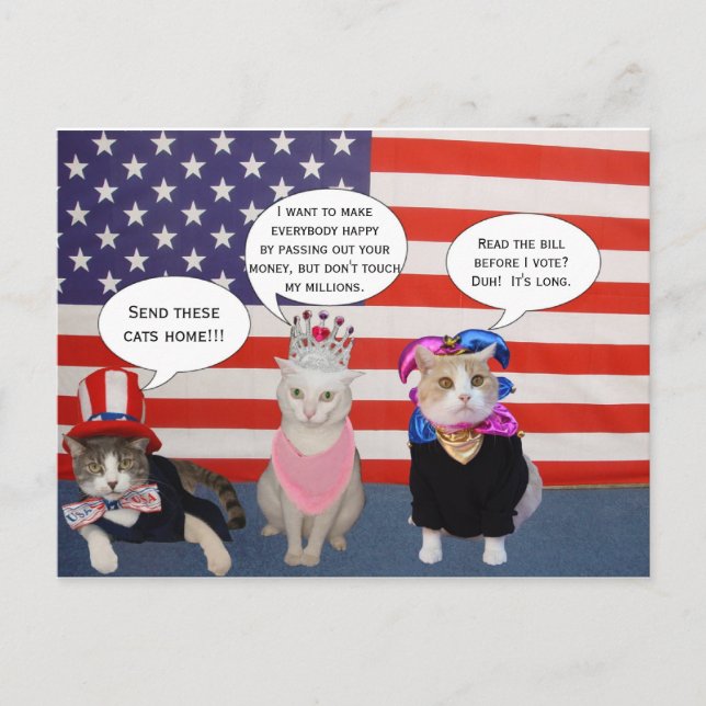 Send these cats home! postcard (Front)