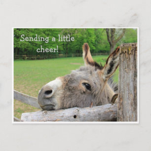 "Sending Cheer" Unhappy Donkey Postcard