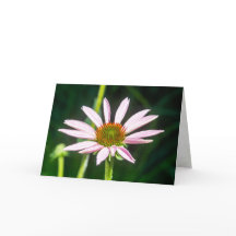 Sending Hopes for Recovery