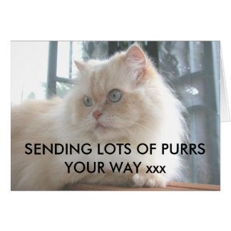 SENDING LOTS OF PURRS YOUR WAY xxx