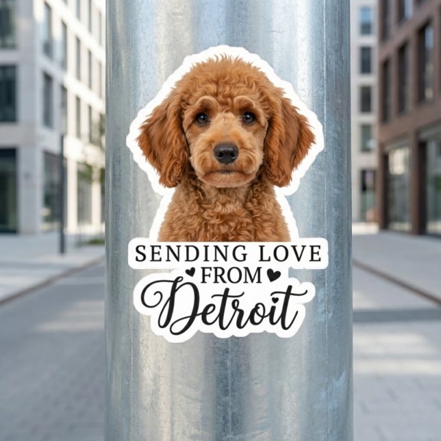 Sending Love From Detroit  (Peel, Stick, and Show Some Love.)