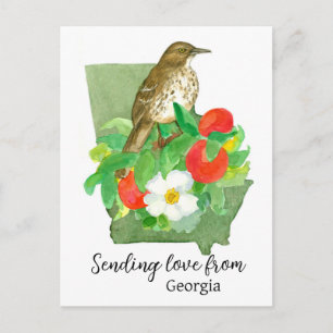 Sending Love From Georgia Bird Peach Rose Postcard