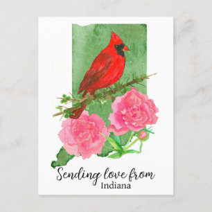 Sending Love From Indiana Cardinal Pink Peonies Postcard