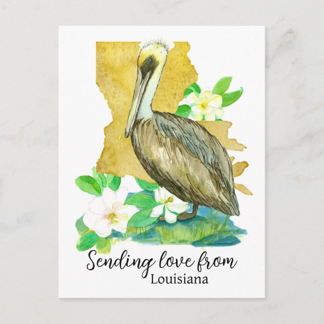 Sending Love From Louisiana Pelican Magnolia Postcard (Front)