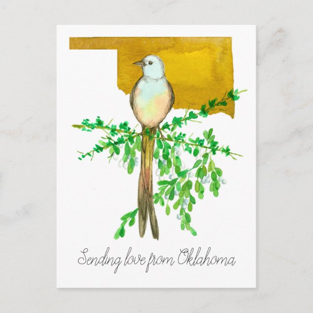 Sending love from Oklahoma Scissor tail Flycatcher Postcard (Front)