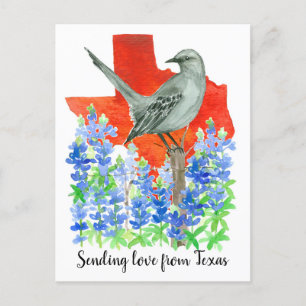 Sending love from Texas Mockingbird Bluebonnets Postcard