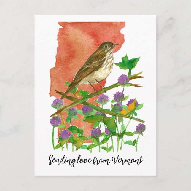 Sending love from Vermont Bird Clover Postcard (Front)