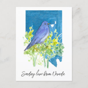 Sending Love Nevada Bluebird Sagebrush Postcard