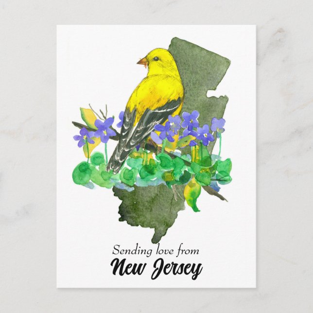 Sending Love New Jersey Goldfinch Violets Postcard (Front)