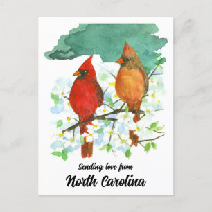 Sending Love North Carolina Cardinals Dogwood Postcard