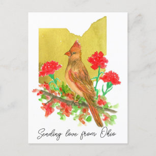 Sending Love Ohio Cardinal Bird Carnations Postcard