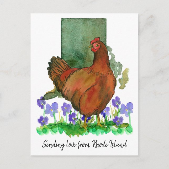 Sending Love Rhode Island Red Chicken Violets Postcard (Front)