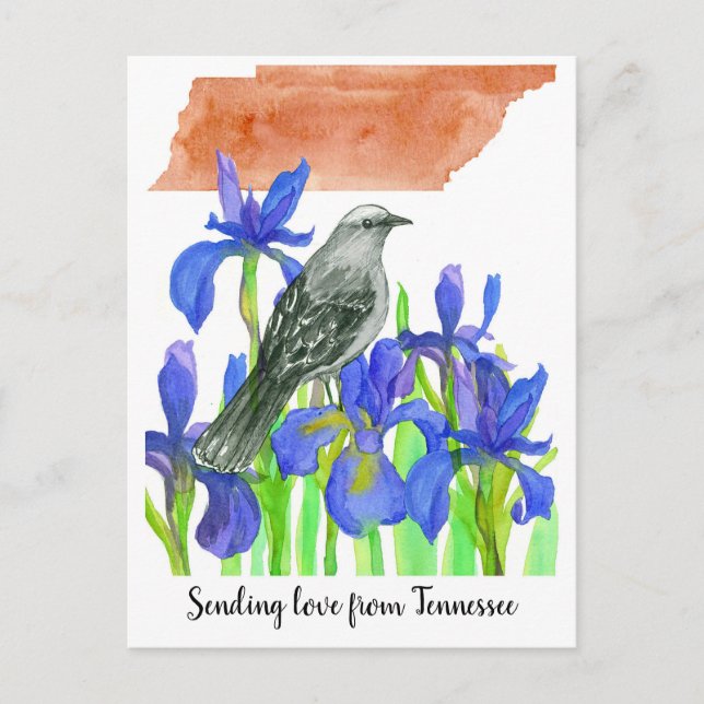 Sending Love Tennessee Mockingbird Iris Flower  Postcard (Front)
