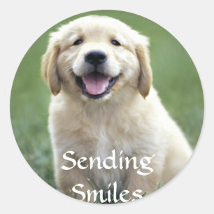 Sending Smiles Golden Retriever Puppy Dog Stickers