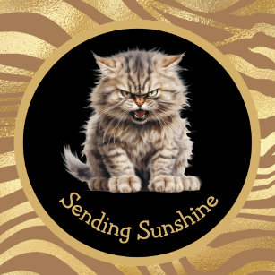 Sending Sunshine Or Your Text Funny Angry Cat Mug