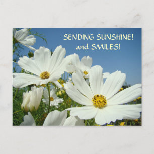SENDING SUNSHINE & Smiles! Postcard Valentines