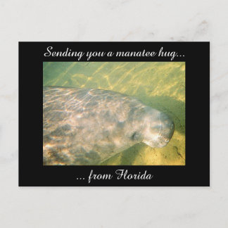 Sending You a Manatee Hug from Florida postcard