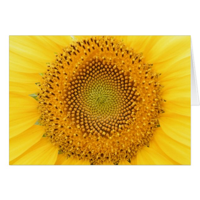 Sending you a Smile (Front Horizontal)