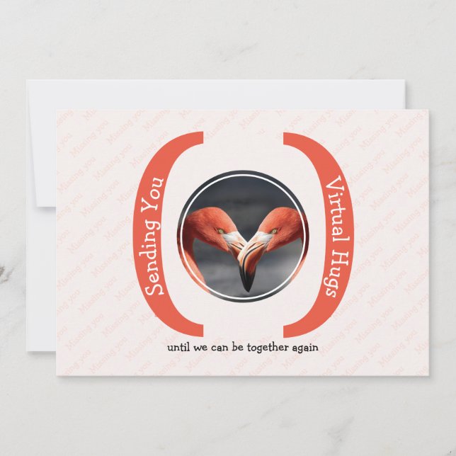 SENDING YOU VIRTUAL HUGS Photo Missing You Card (Front)