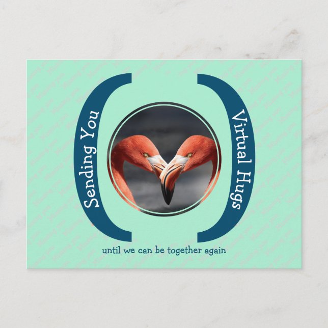 SENDING YOU VIRTUAL HUGS Photo Template MINT Postcard (Front)