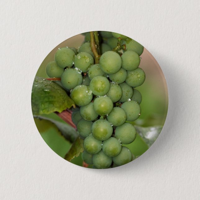 Seneca Grapes 6 Cm Round Badge (Front)