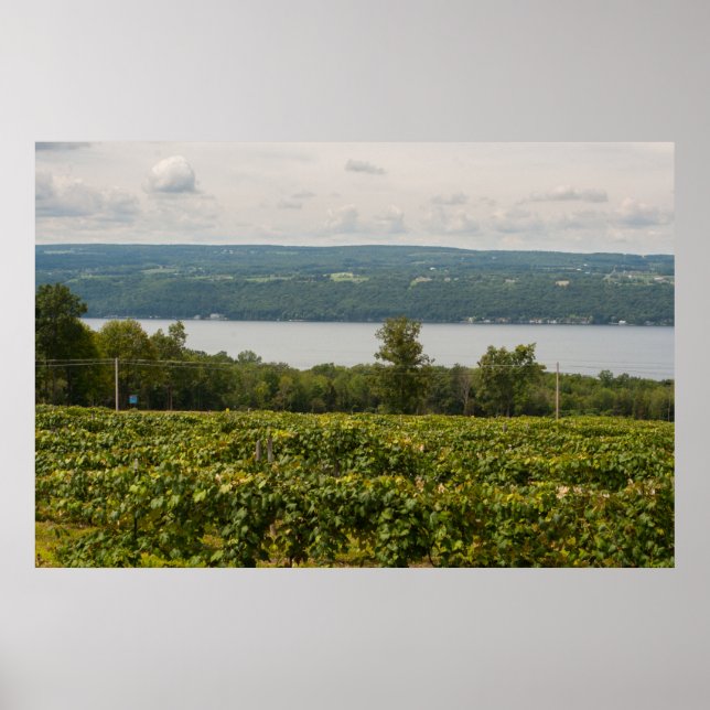 Seneca Lake and Vineyards, New York Poster (Front)