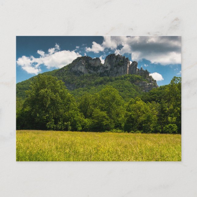 Seneca Rocks in Summer, West Virginia Postcard (Front)