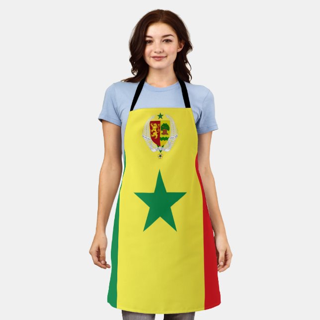 Senegal flag-coat arms apron (Worn)