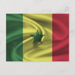 Senegal Flag Postcard