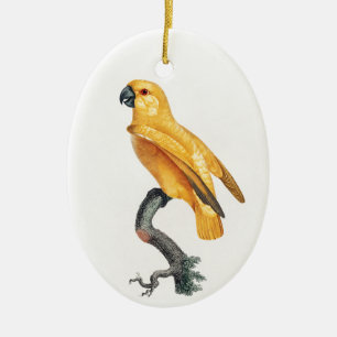Senegal Parrot Ceramic Ornament
