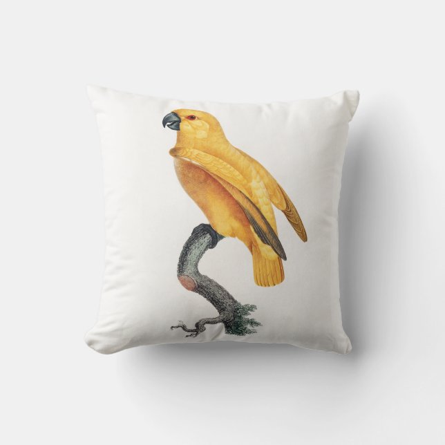 Senegal Parrot Cushion (Front)