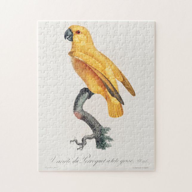 Senegal Parrot Jigsaw Puzzle (Vertical)