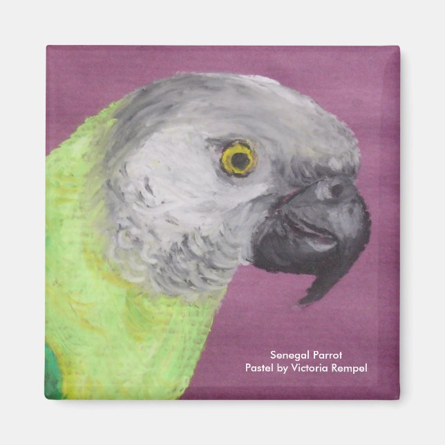 Senegal Parrot Pastel Magnet (Front)