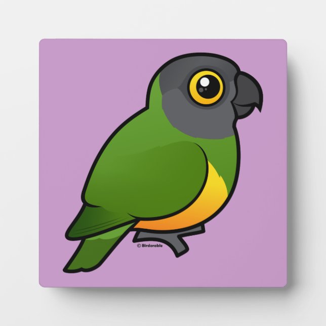 Senegal Parrot Plaque (Front)