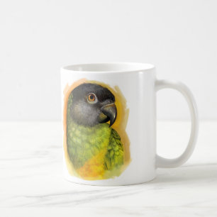Senegal parrot realistic painting coffee mug