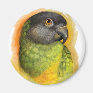Senegal parrot realistic painting magnet